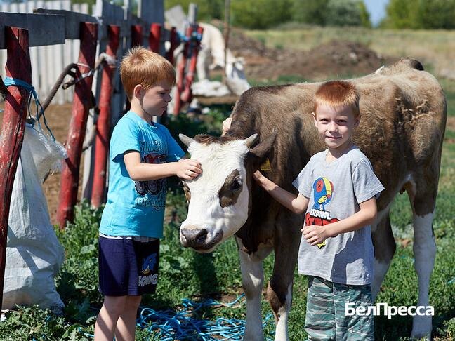 Фото: Елена Журавлёва