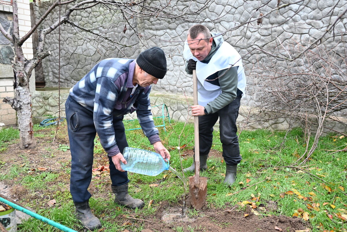    Фото: АНО «Сад Памяти»