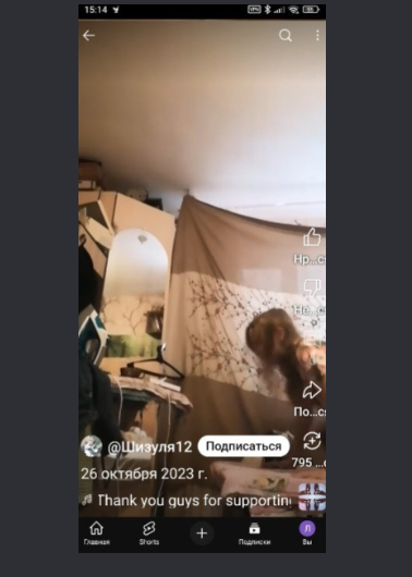 Тряпка, которую мы видим, разделяет "дочарник" (термин использует сама доцент) и территорию родителей. В дочарнике живет младшая, старшая дочь - на утепленной лоджии. 