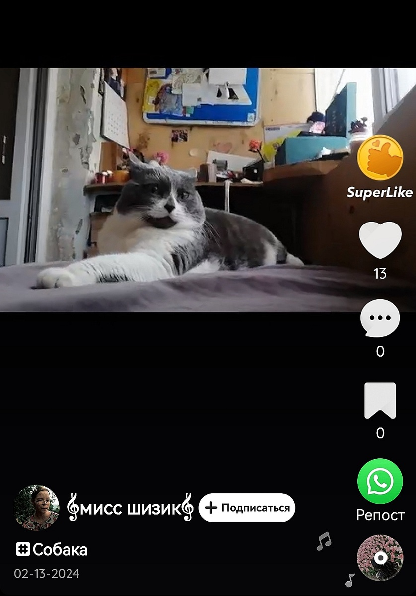 За предоставленный материал снова благодарим Шизулю и поражаемся: ну ведь делали на лоджии утепление и отделку, почему стену-то ободранную оставили? 