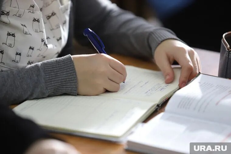 Школьники теперь могут следить за оценками через электронный сервис «Дневник.ру». Фото: Екатерина Сычкова © URA.RU