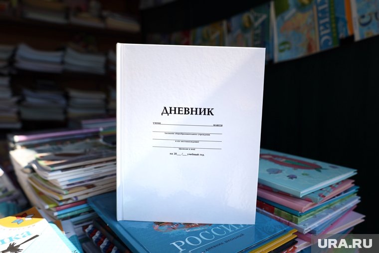 Электронный дневник полностью заменил бумажный аналог. Фото: Екатерина Сычкова © URA.RU