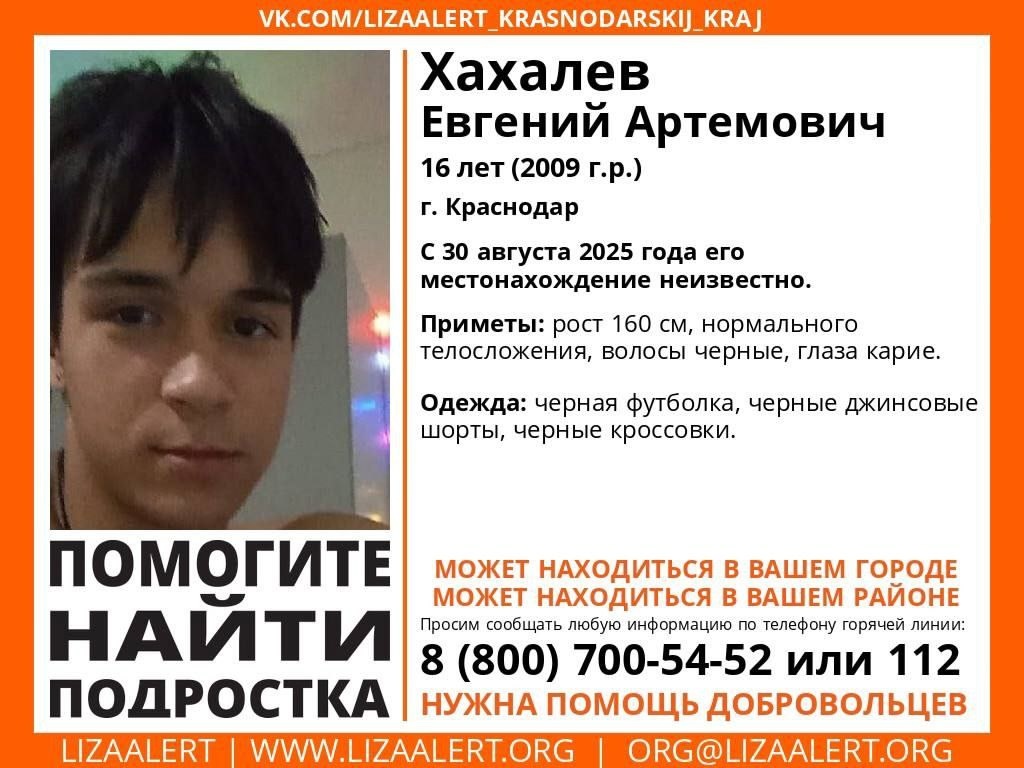    Фото: ориентировка «ЛизаАлерт»