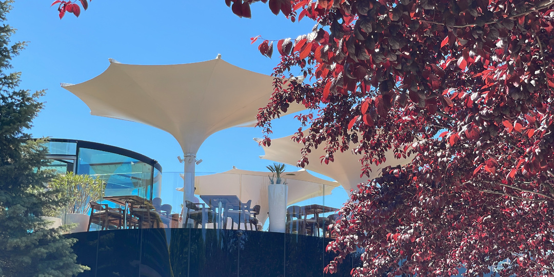 7 Удивительных фактов о парке Галицкого.