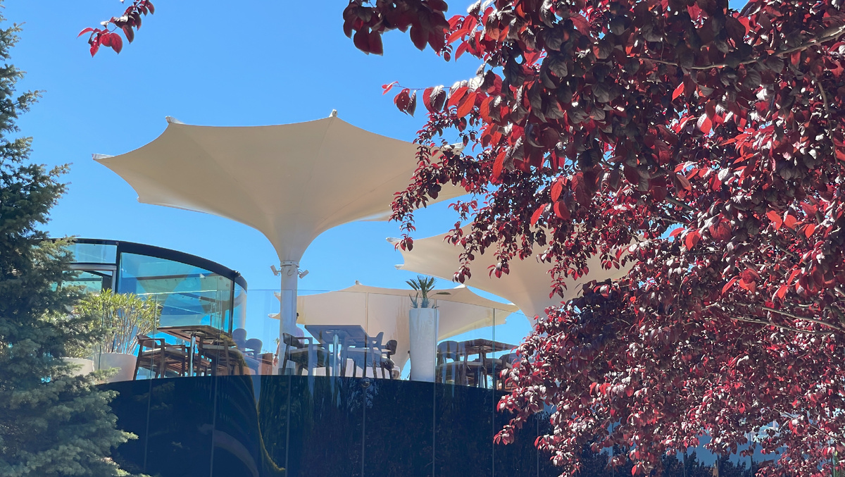 Вид на летнюю площадку кафе Краснодар рядом с аллеей слив Нигра