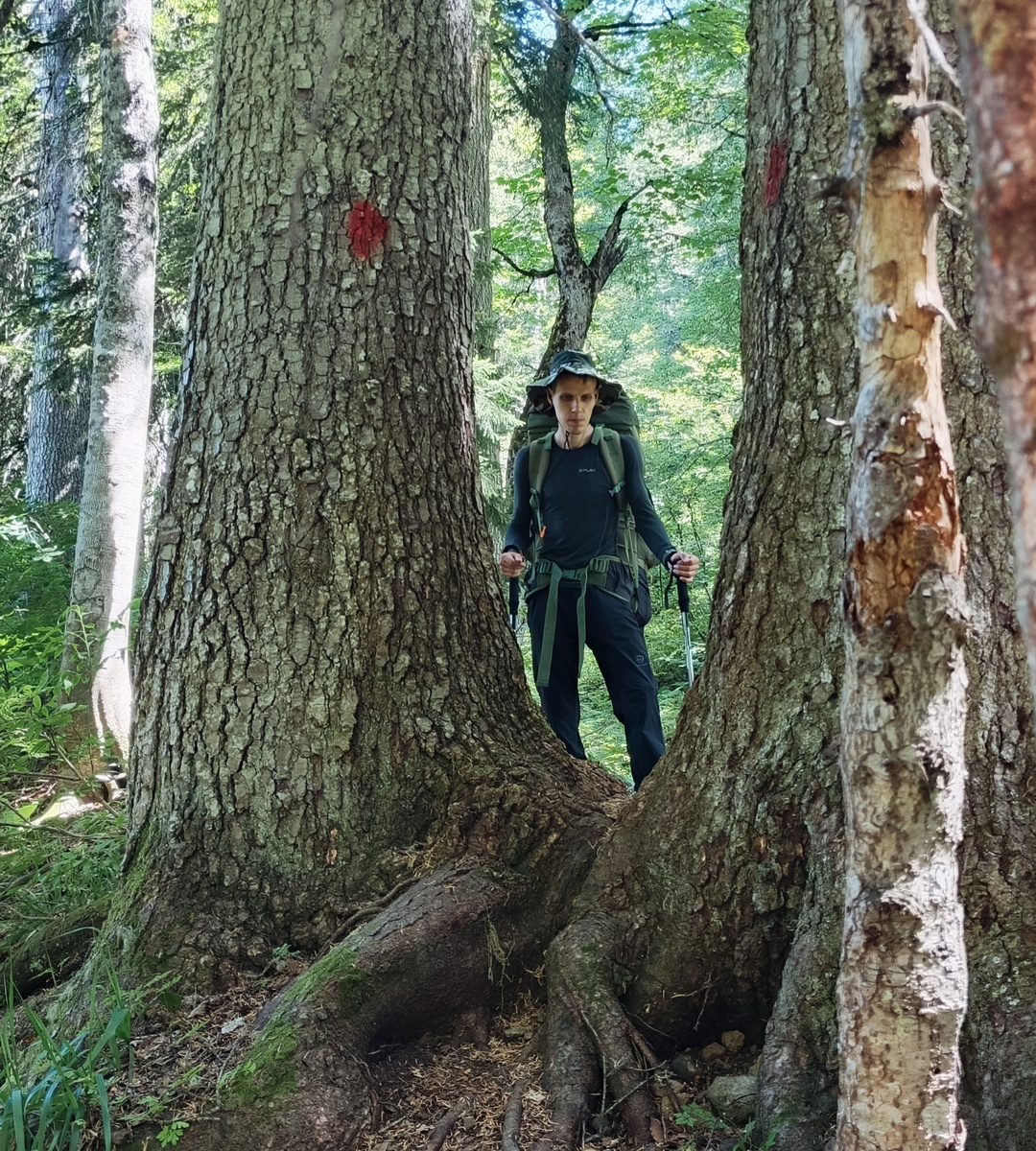 Яркая красная метка на дереве на гребне. Здесь даже без меток тропа понятна, благодаря рельефу – она пролегат по гребню. Фото автора.