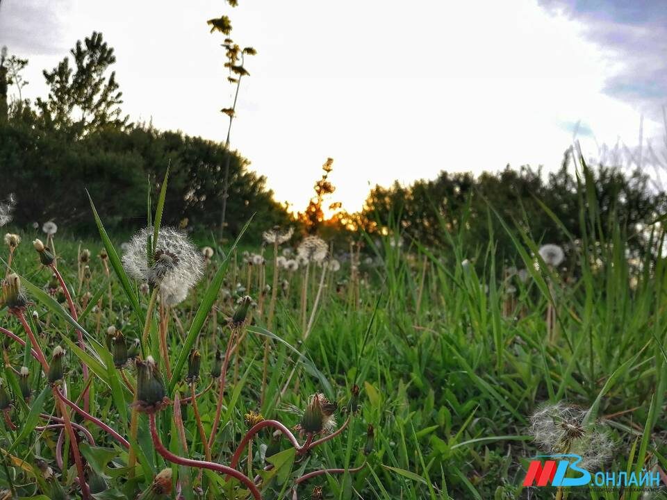    Фото: МТВ.ОНЛАЙН / Елизавета Денисова