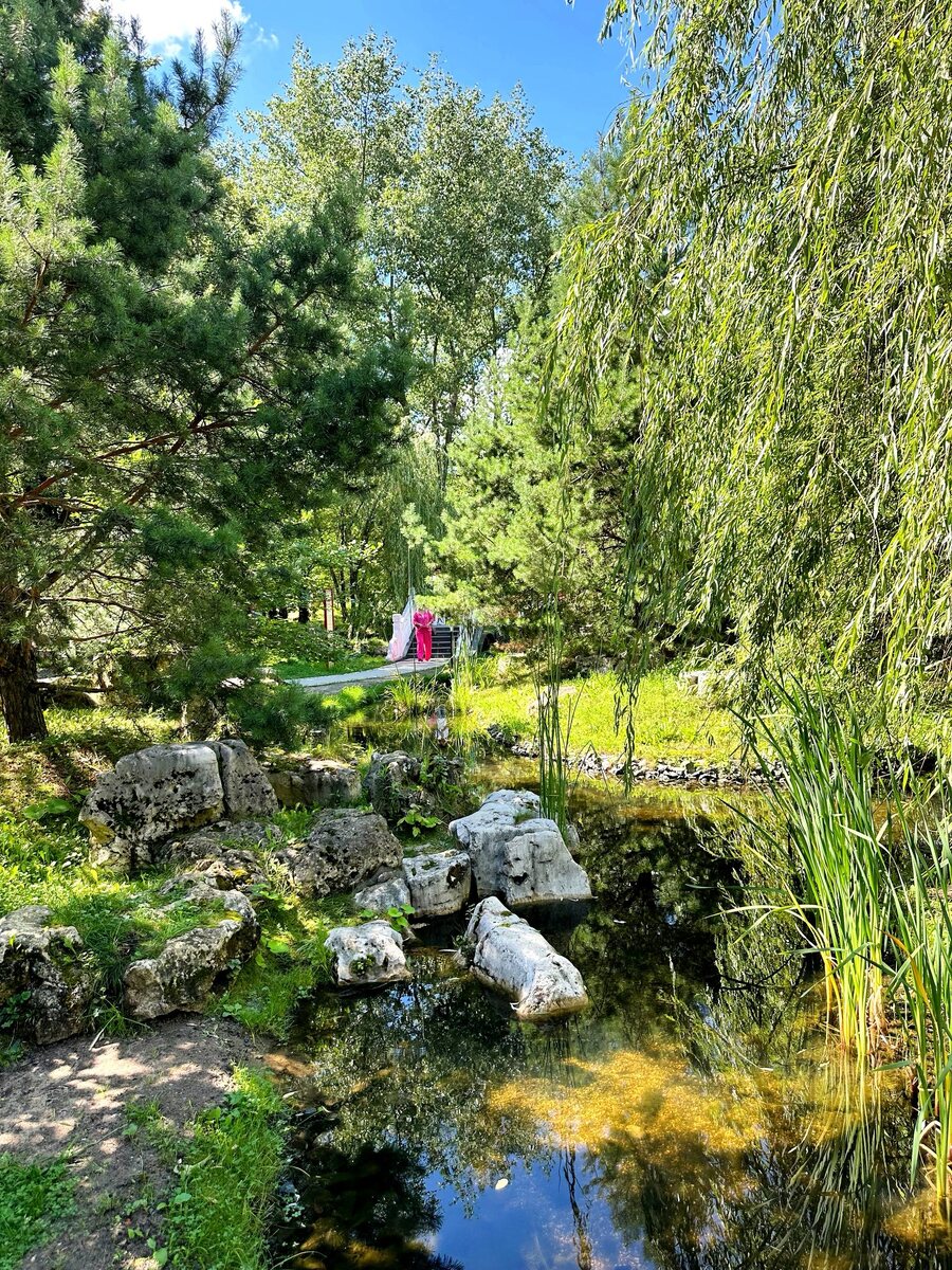 Тут можно увидеть растения, характерные для китайской природы: остроконечный тис, тсугу, плакучие ивы. 