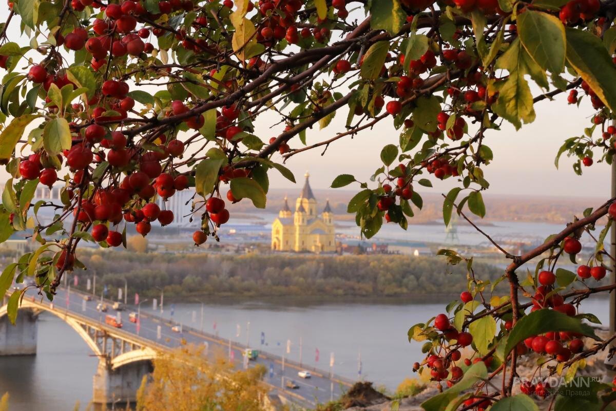    Осень символизирует перемены и переходы, поэтому в этот период можно поставить новые цели
