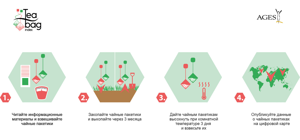 Схема Tea bag index