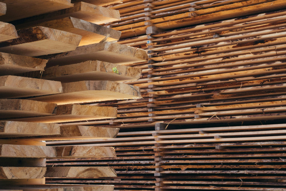     Patrick Robert Doyle/unsplash