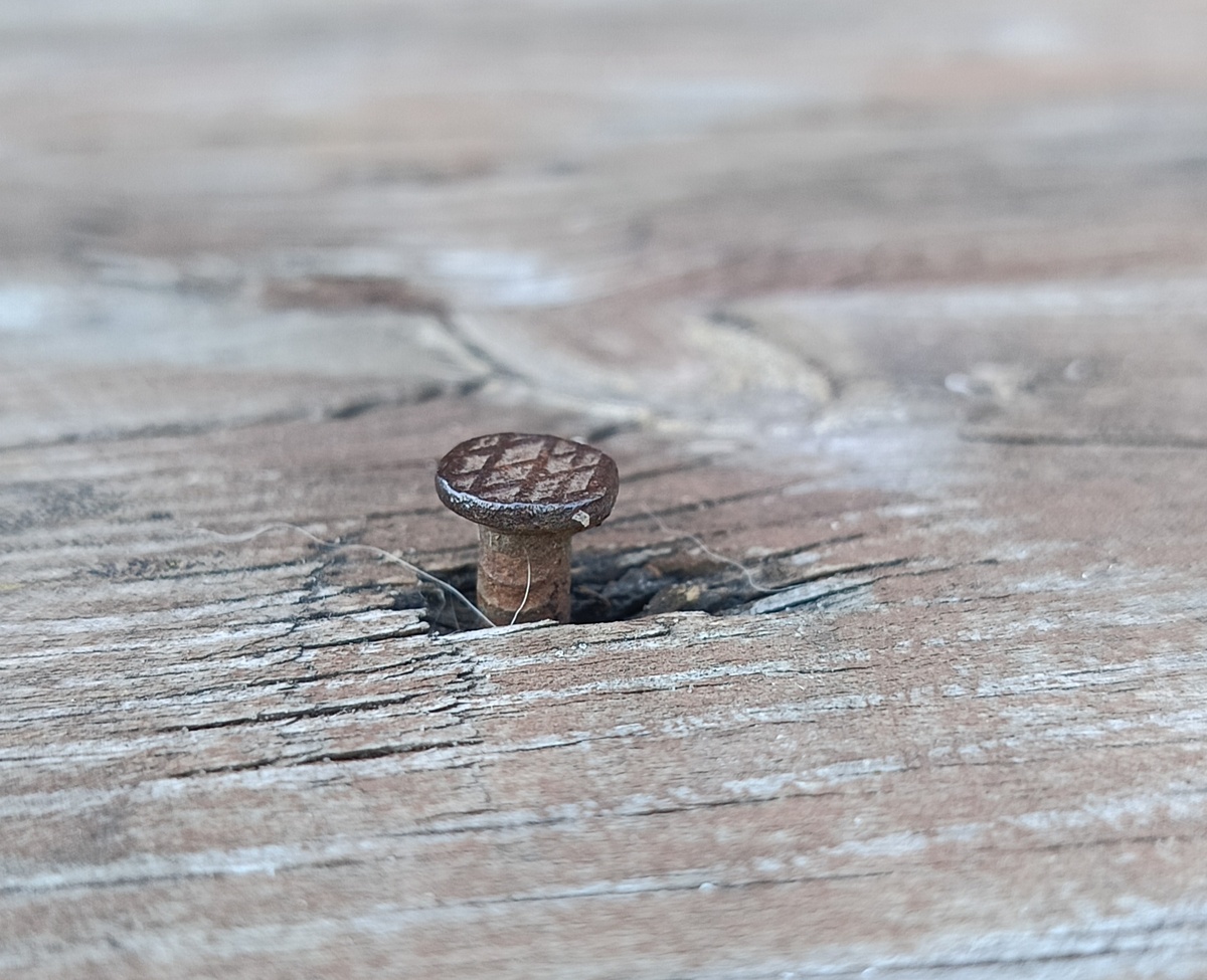 Из личного архива