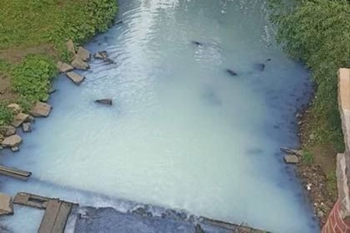    Фото: ТГ-канал "Злой Екатеринбург"