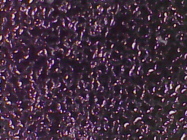 Фото структуры обычной замороженной воды