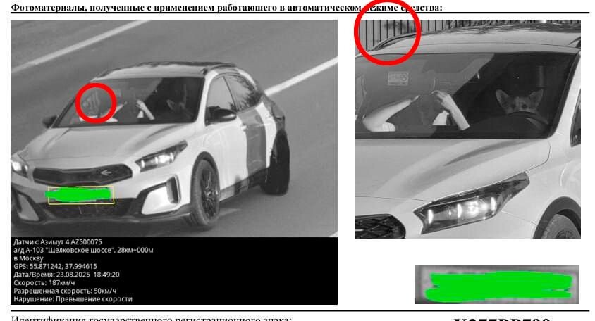     / Источник: © Соцсети