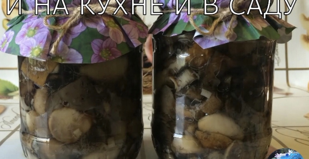 Грибы маринованные. Заготовка на зиму.