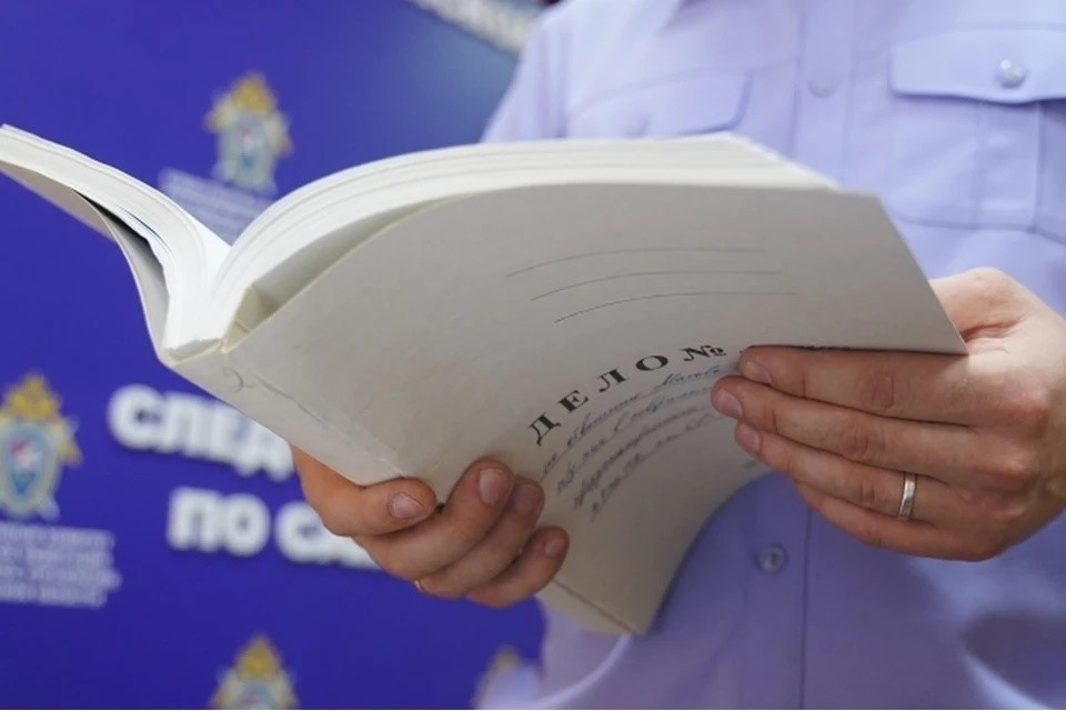    СКР просит арестовать обвиняемого в сексуальном насилии над ребенком в Москве Светлана МАКОВЕЕВА