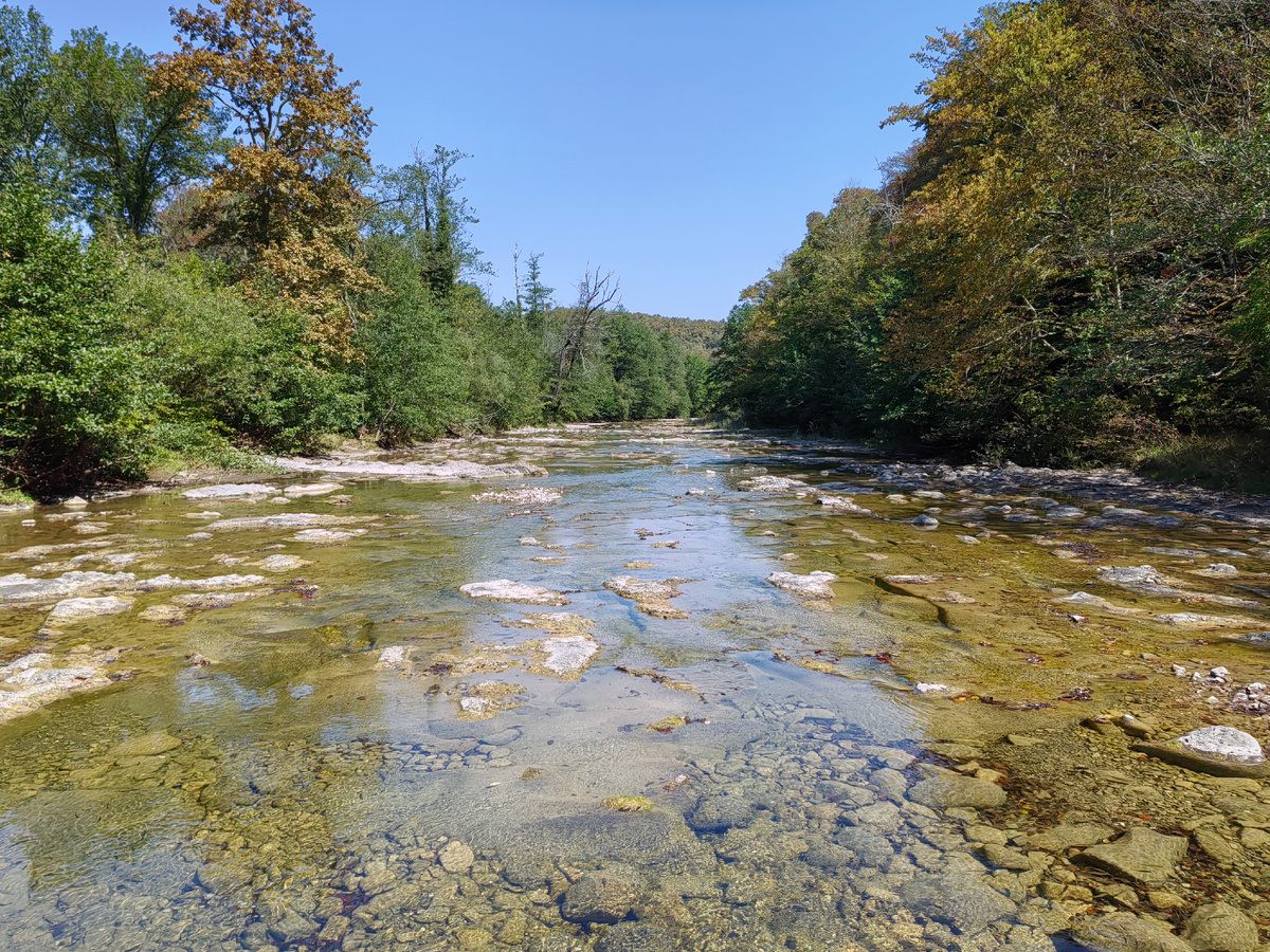 Песня реки. Научись слушать воду. Здравница Гармонии.