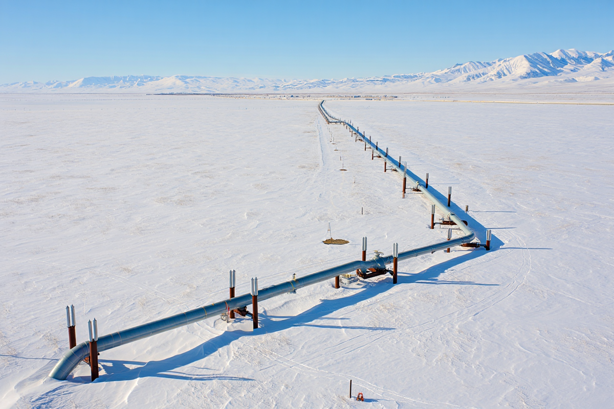    Фото: сгенерировано ИИ, источник: reve.art