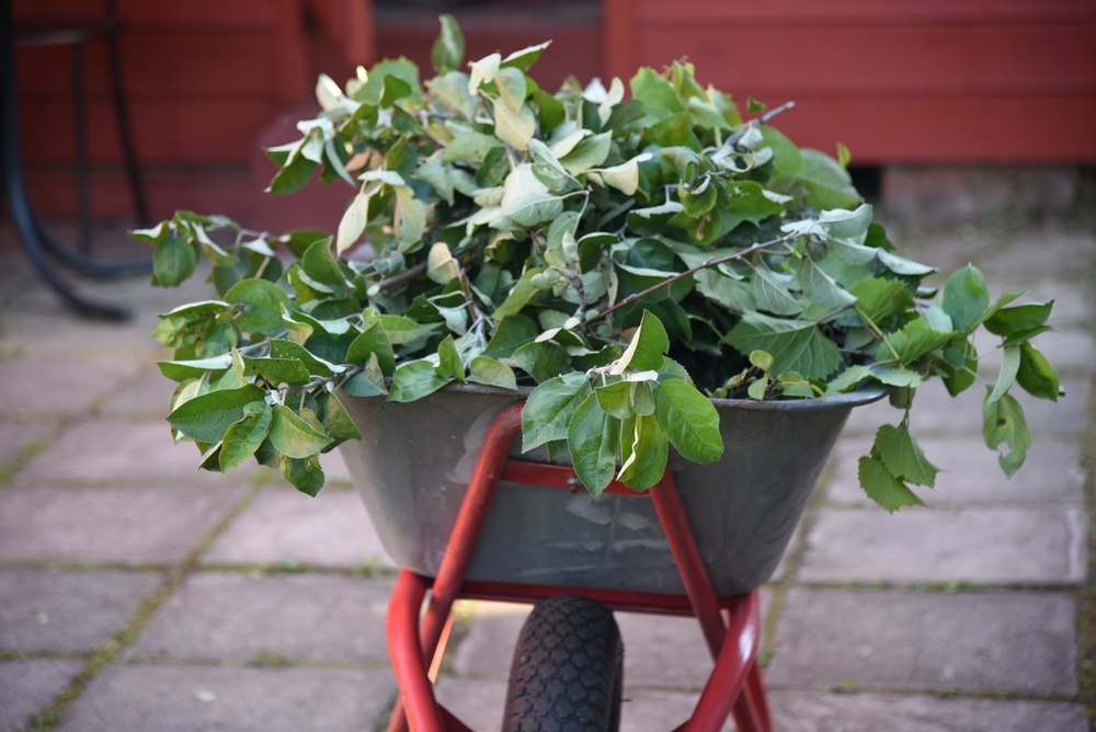 photoPOU / Shutterstock / FOTODOM📷Обрезанные ветви собирают и при возможности сжигают либо вывозят за пределы сада