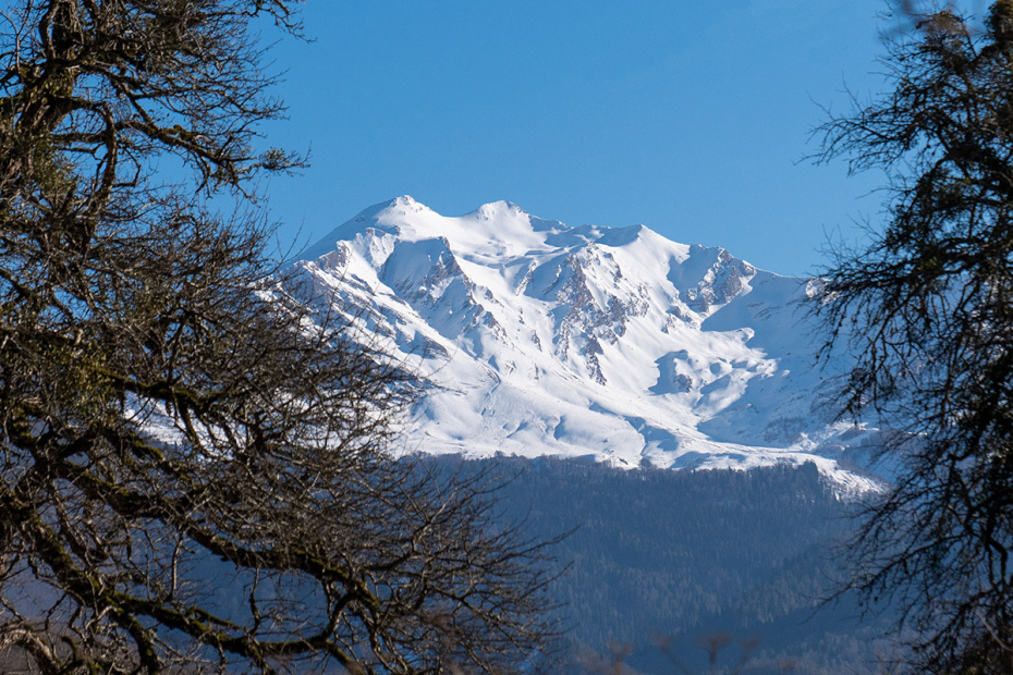    Shutterstock/FOTODOM