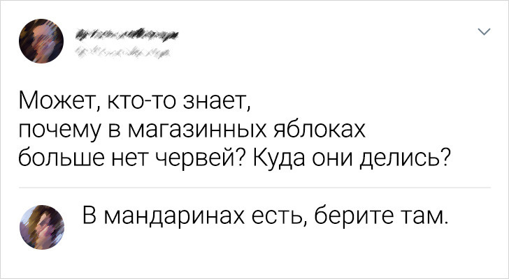 15+ комментаторов, которые превращают интернет в арену юмора