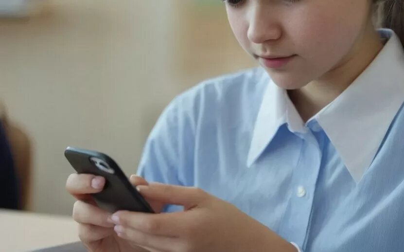    Школы и техникумы Удмуртии начнут переводить на мессенджер Max