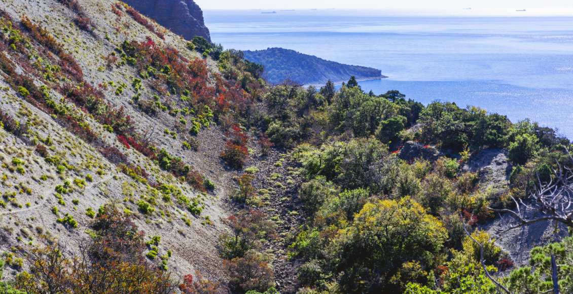    Фото: пресс-служба Росзаповедцентра Минприроды России