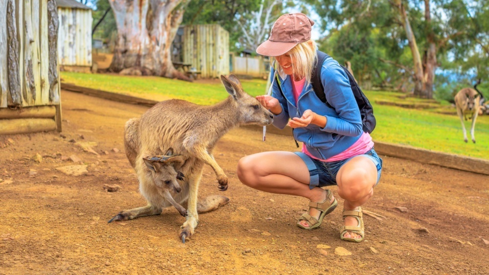     Фото: Benny Marty/Shutterstock/FOTODOM