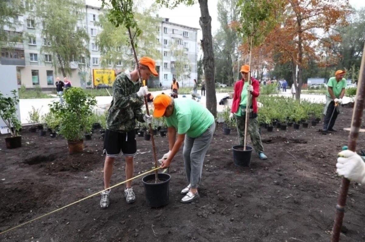    В Самаре в сквере «Восточный» высадили более 1500 растений