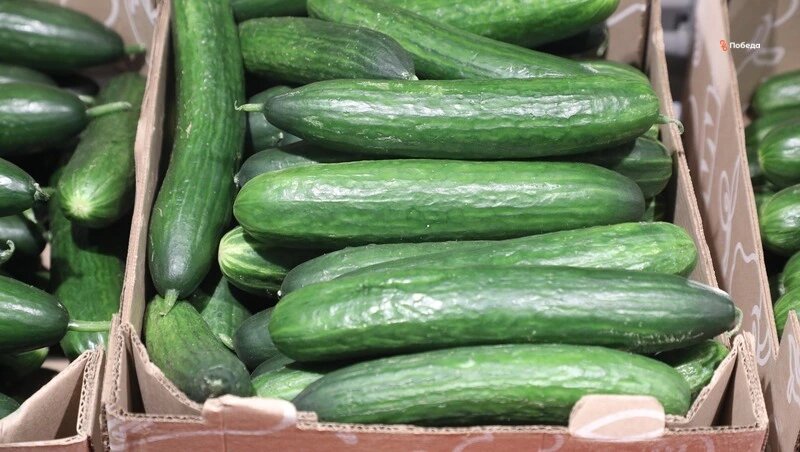      Фото: ИА «Победа26»