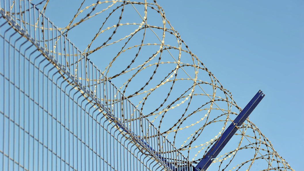    Фото: forden/shutterstock