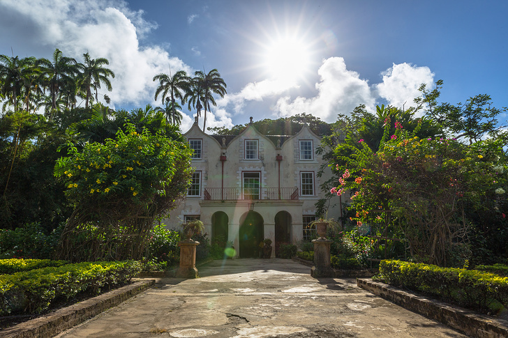    Macca Sherifi/Shutterstock/FOTODOM