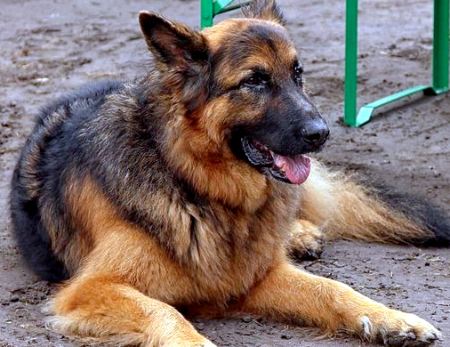 фото из бщедоступных источников