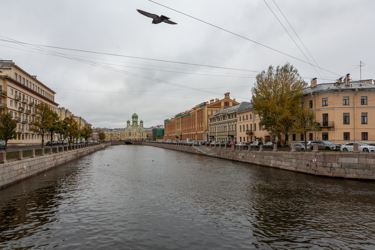 Олег Золото / «Вечерний Санкт-Петербург»