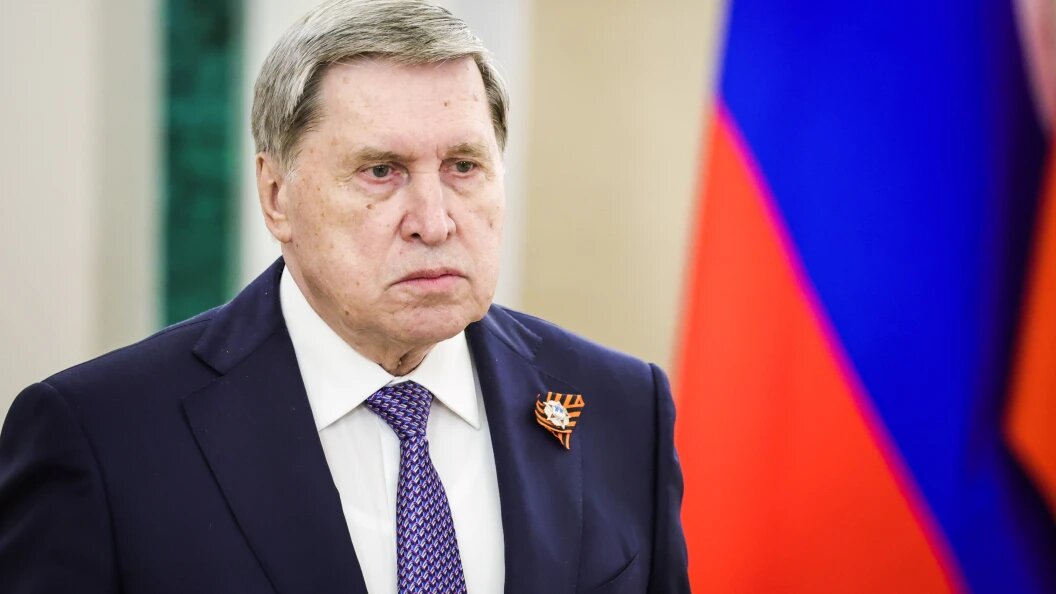    Фото: Roman Naumov/URA.RU/Globallookpress