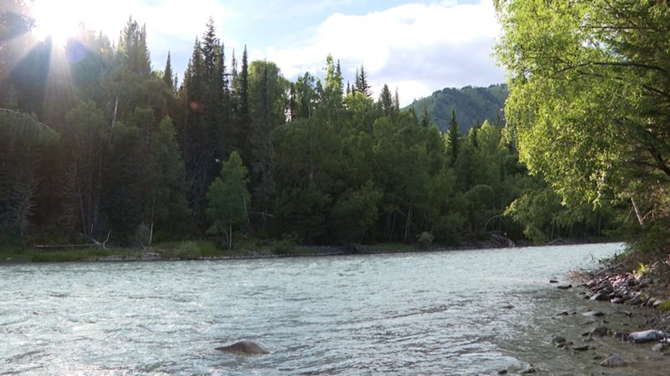 Фото из открытых источников