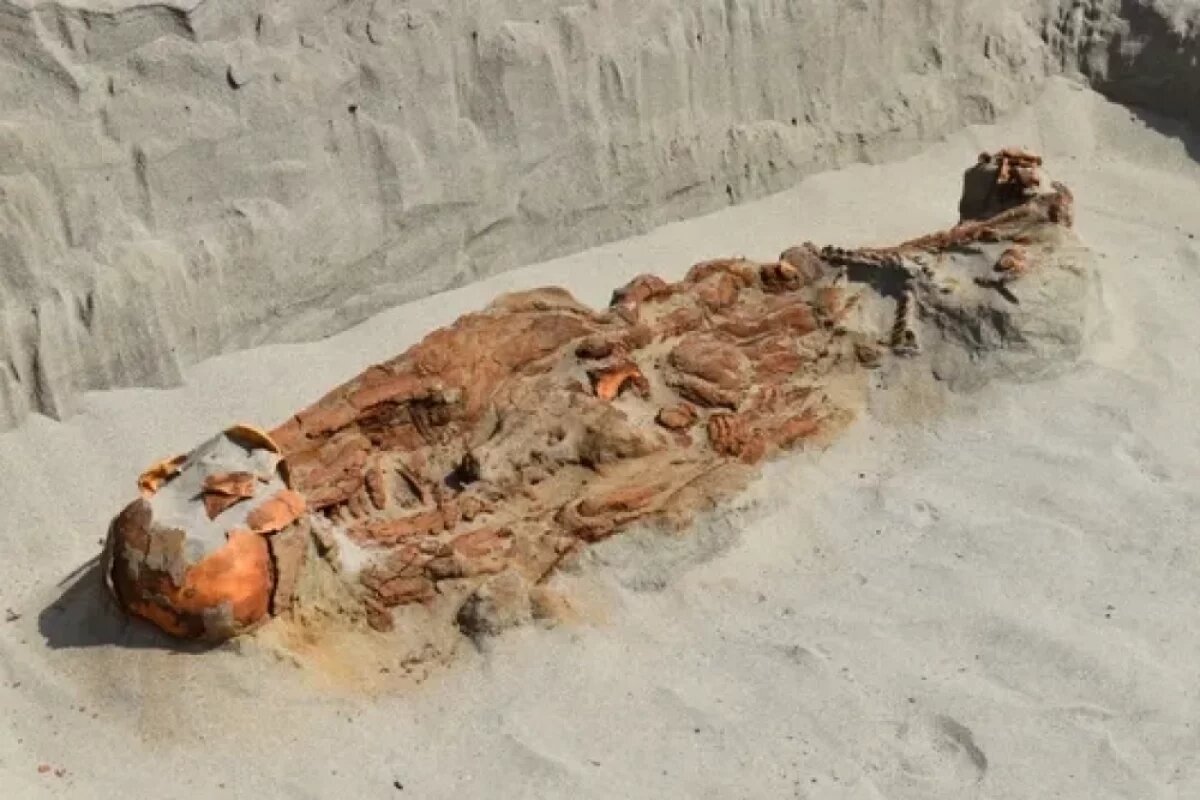    Скелет с петлёй на шее.