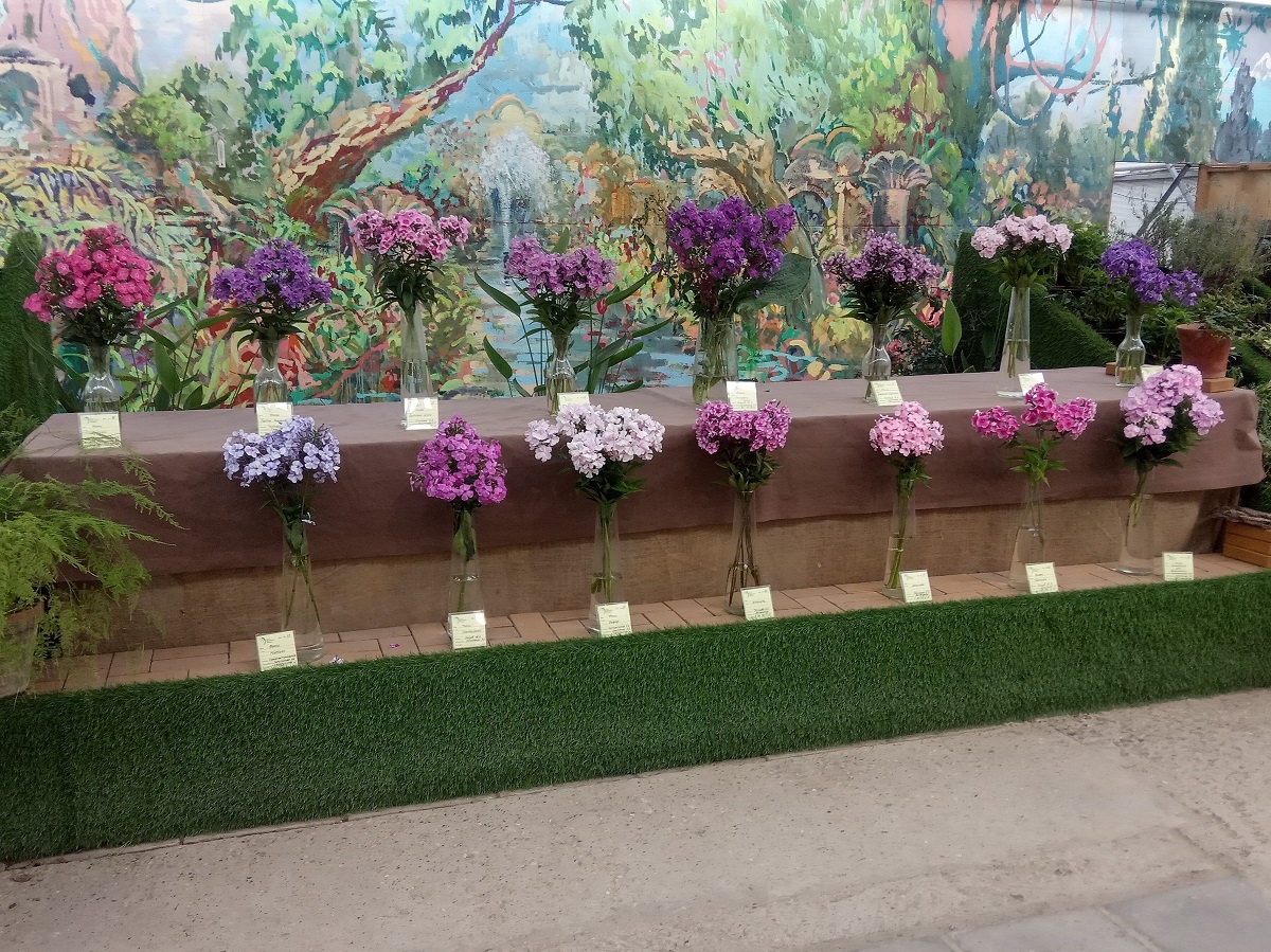 Фрагменты экспозиции 