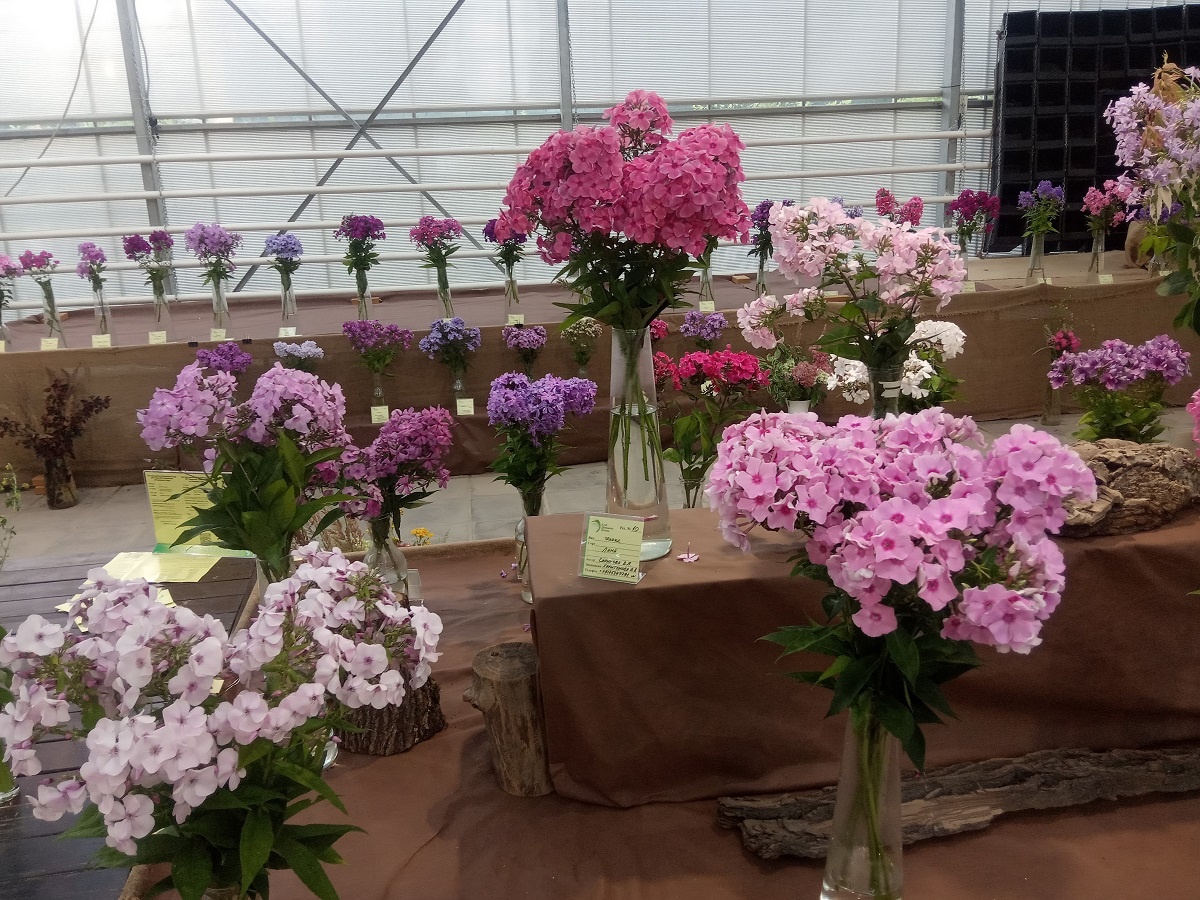 Фрагменты экспозиции 