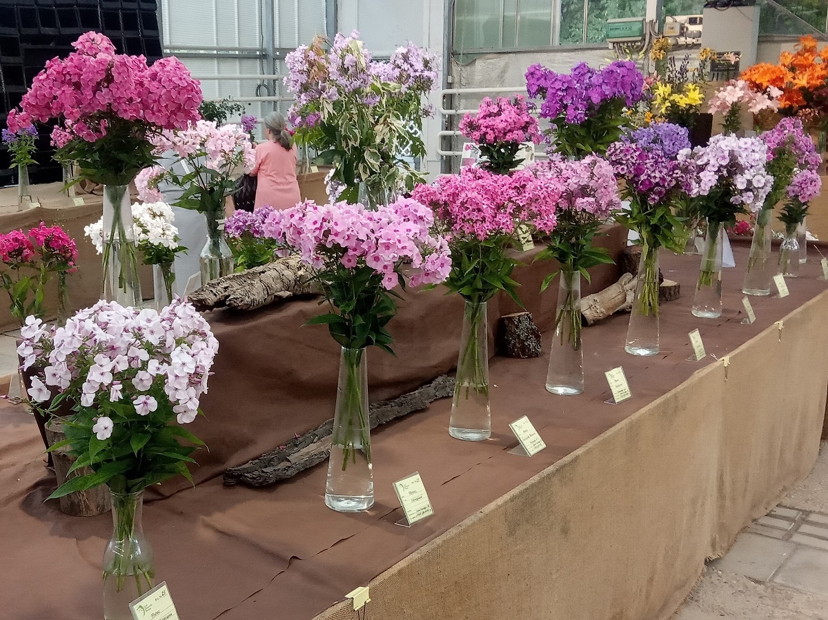 Фрагменты экспозиции 