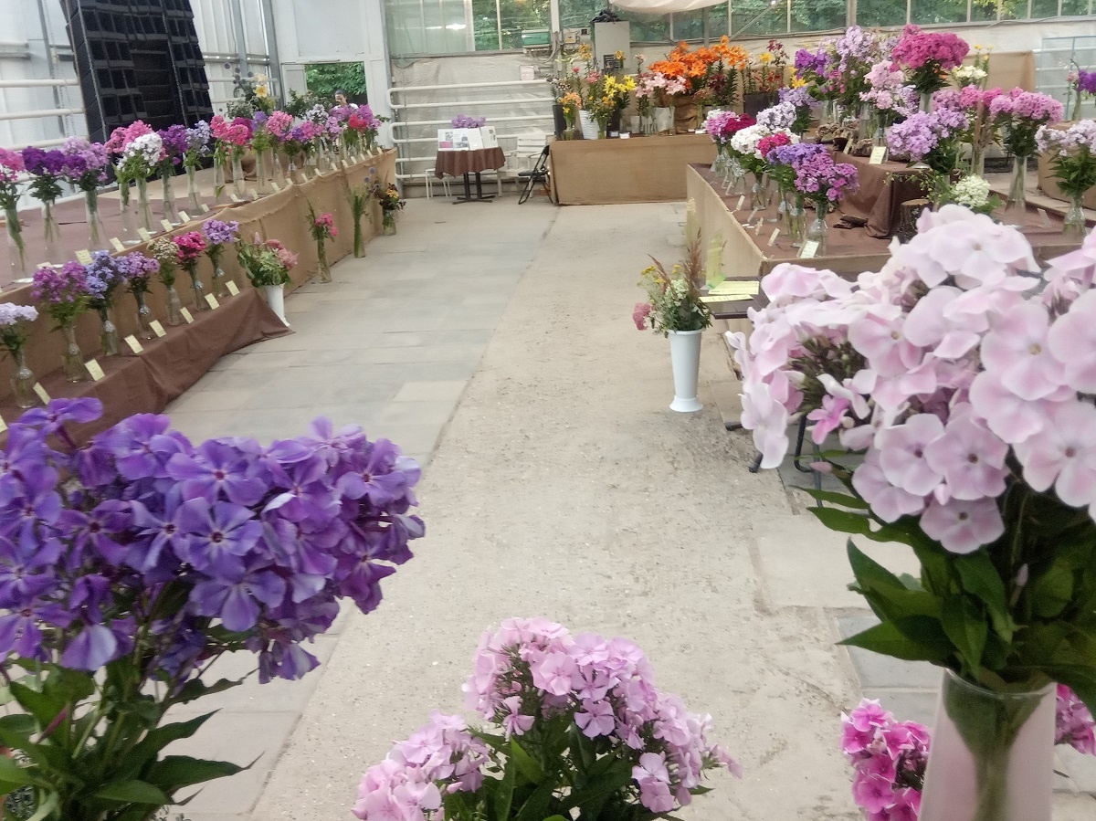 Фрагменты экспозиции 