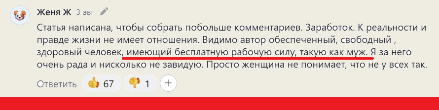 И 67 человек поставили лайк этому комментарию. О том, что у автора есть муж — как бесплатная рабочая сила...