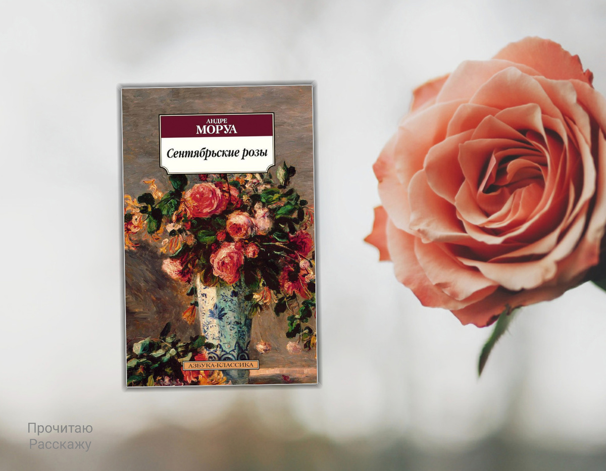 Коллаж сделан автором блога Прочитаю Расскажу  Изображения взяты из открытых источников. Андре Моруа "Сентябрьские розы"