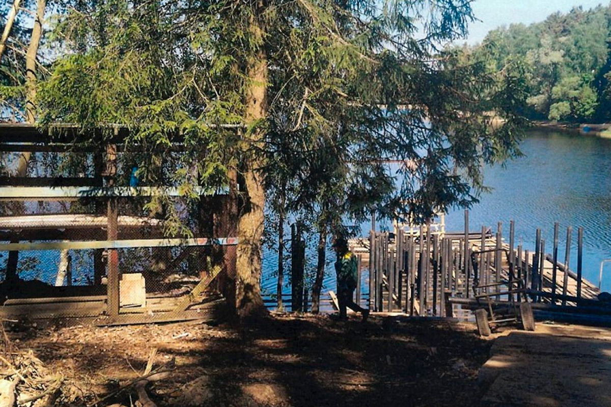    Фото: Минэкологии Московской области, источник: mep.mosreg.ru