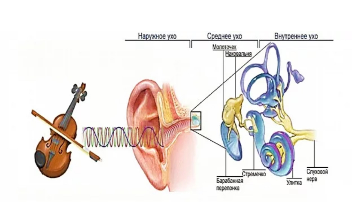 Яндекс.Картинки