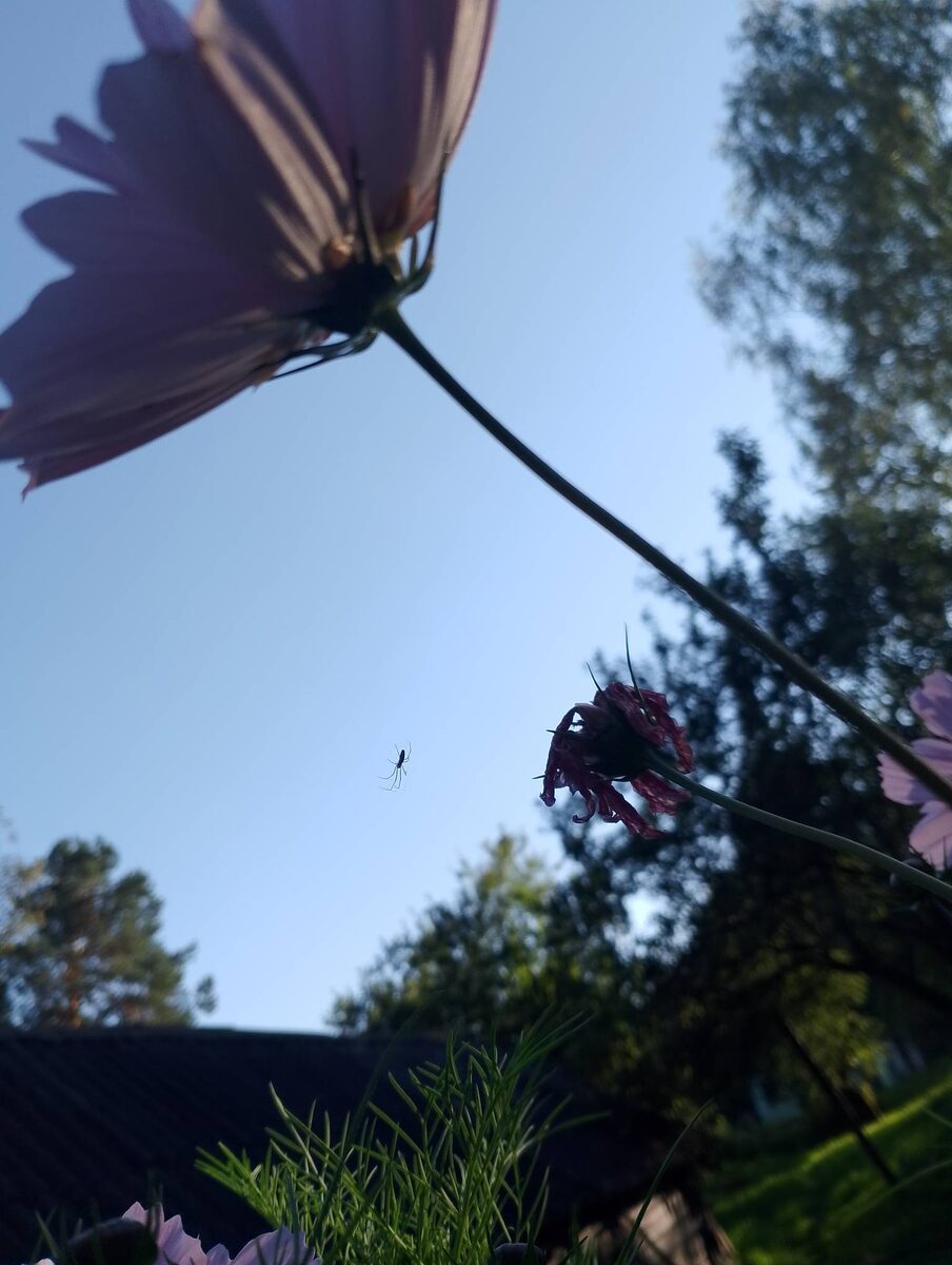 ... поэтому мы были ближе к реальности, поэтому некоторые из нас раньше стали задумываться о Жизни