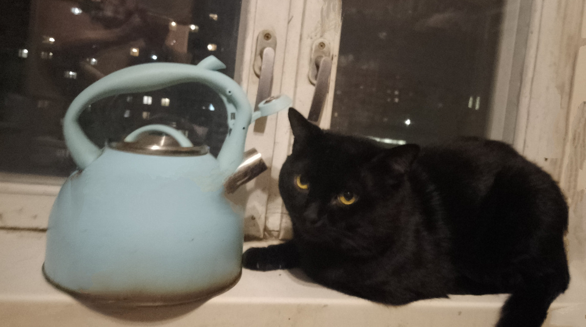 Барсук и чайник, постановочный портрет