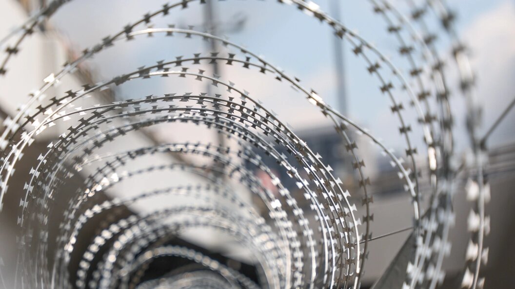    Фото: Globallookpress