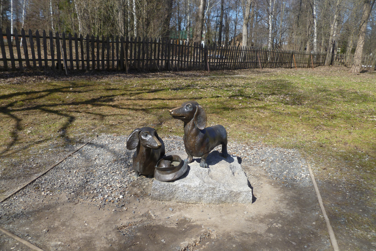 Фото автора